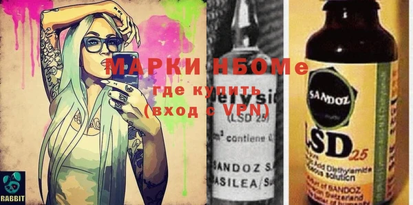 шишки Каменка