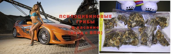 Альфа ПВП Каменногорск