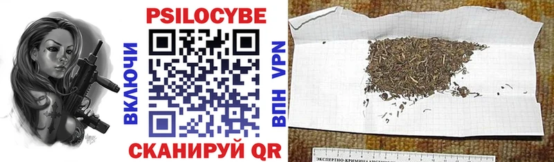 Псилоцибиновые грибы мицелий  Купить  Еманжелинск 